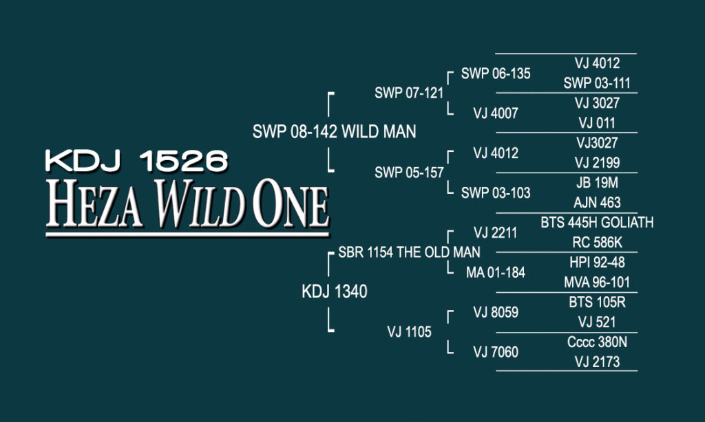 bramblettkatahdins-Heza Wild One pedigree